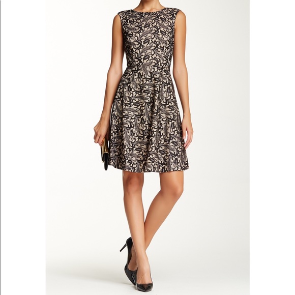 tahari lace fit and flare dress